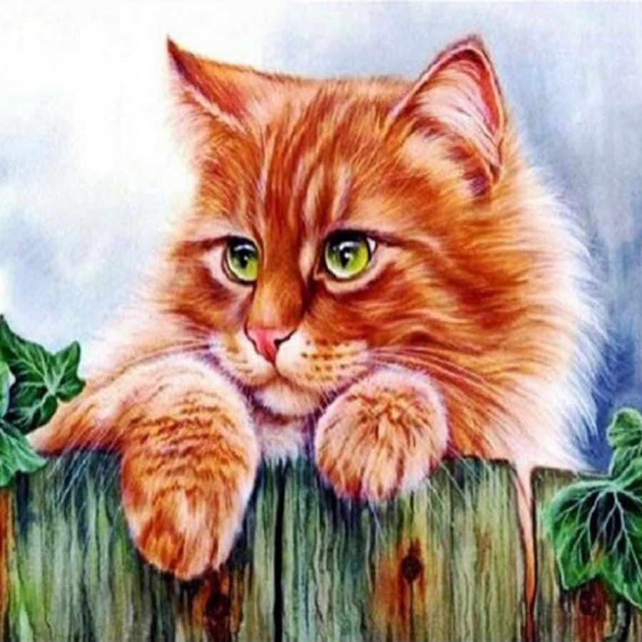 Cats Collection Paint by Numbers